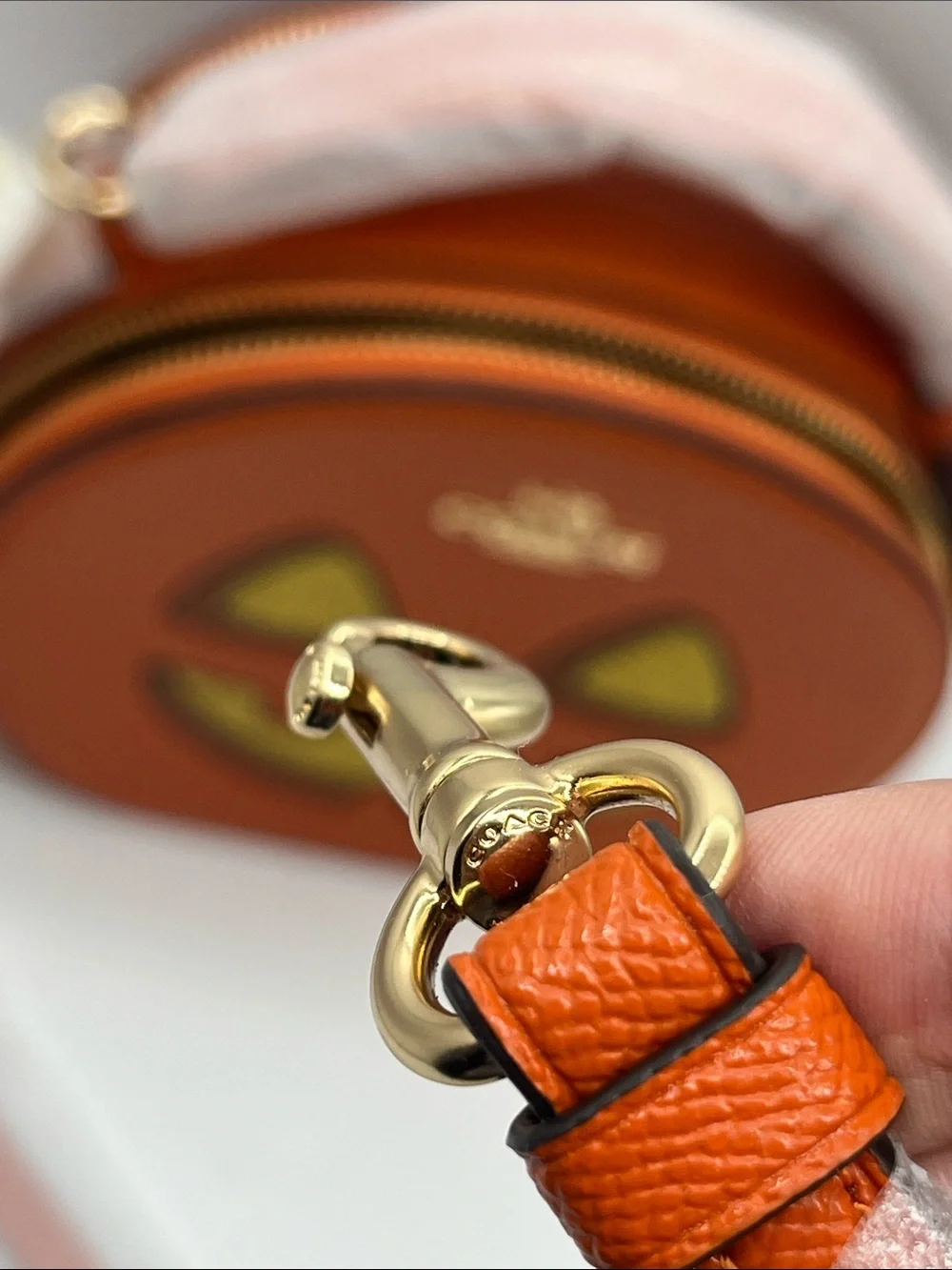 Coach Pumpkin Canteen Crossbody 2024